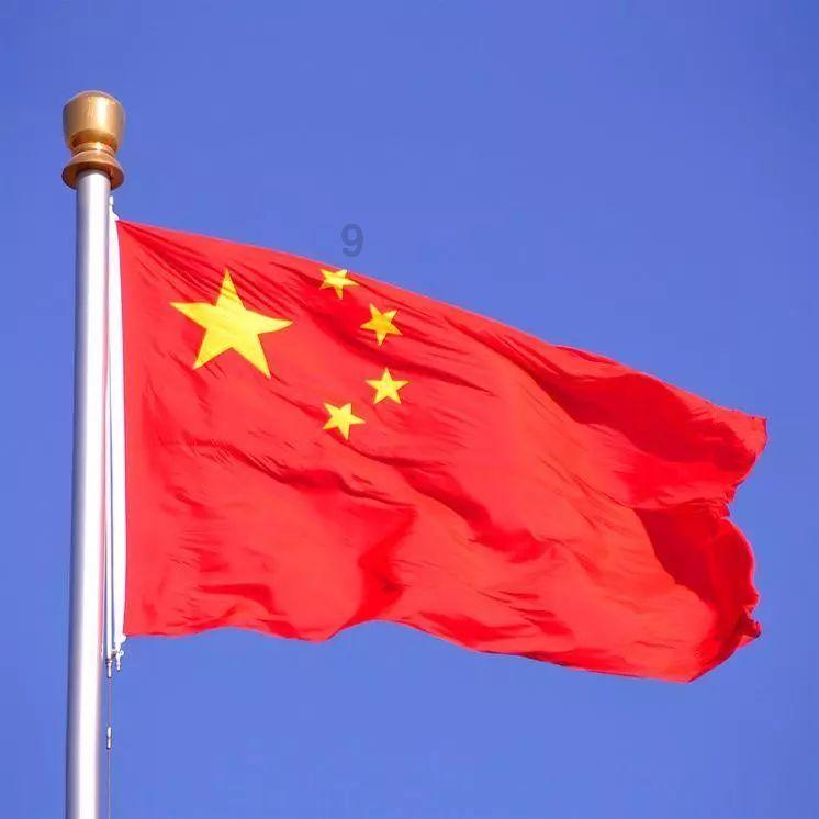 救援小孔雀